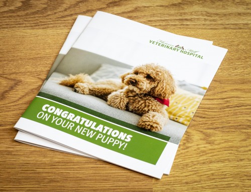 Flowers Mill Veterinary Welcome Brochure